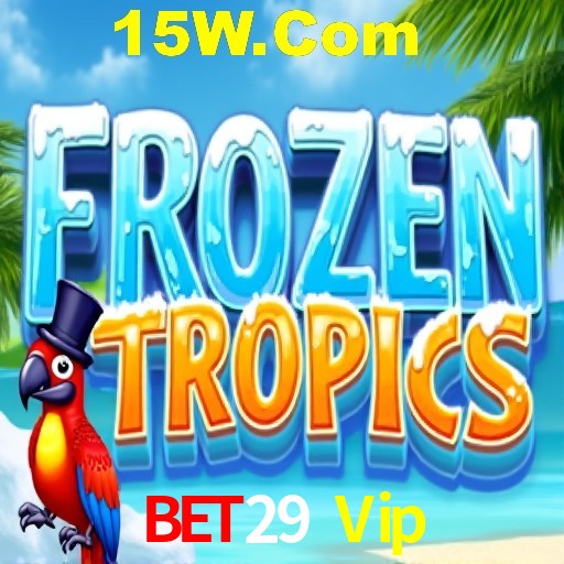 Experiência VIP Bet29 Vip