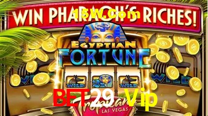 Integração de APIs Bet29 Vip